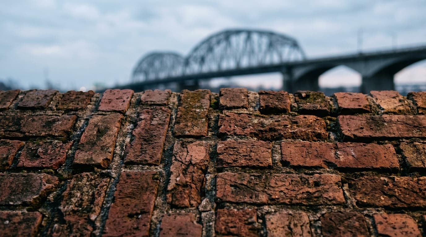 A 100mm macro overhead flat-lay captures the weathered, textured brickwork of an Argenta alleyway wall during an overcast...